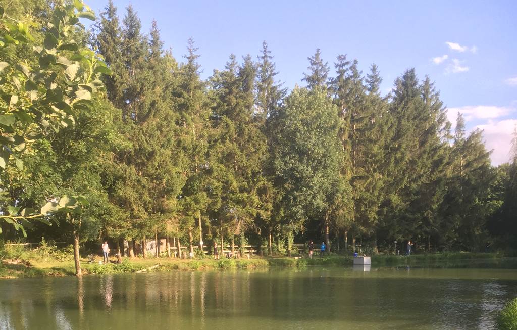 La truite au bleu - Restaurant, Attigny - photo 2