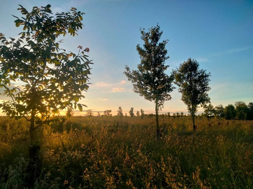 L'Oasis ardennaise — photo 2