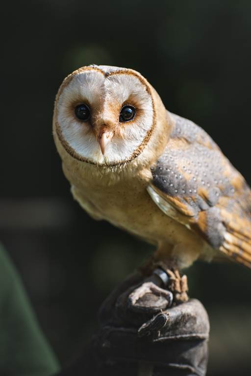 Parc Argonne Découverte