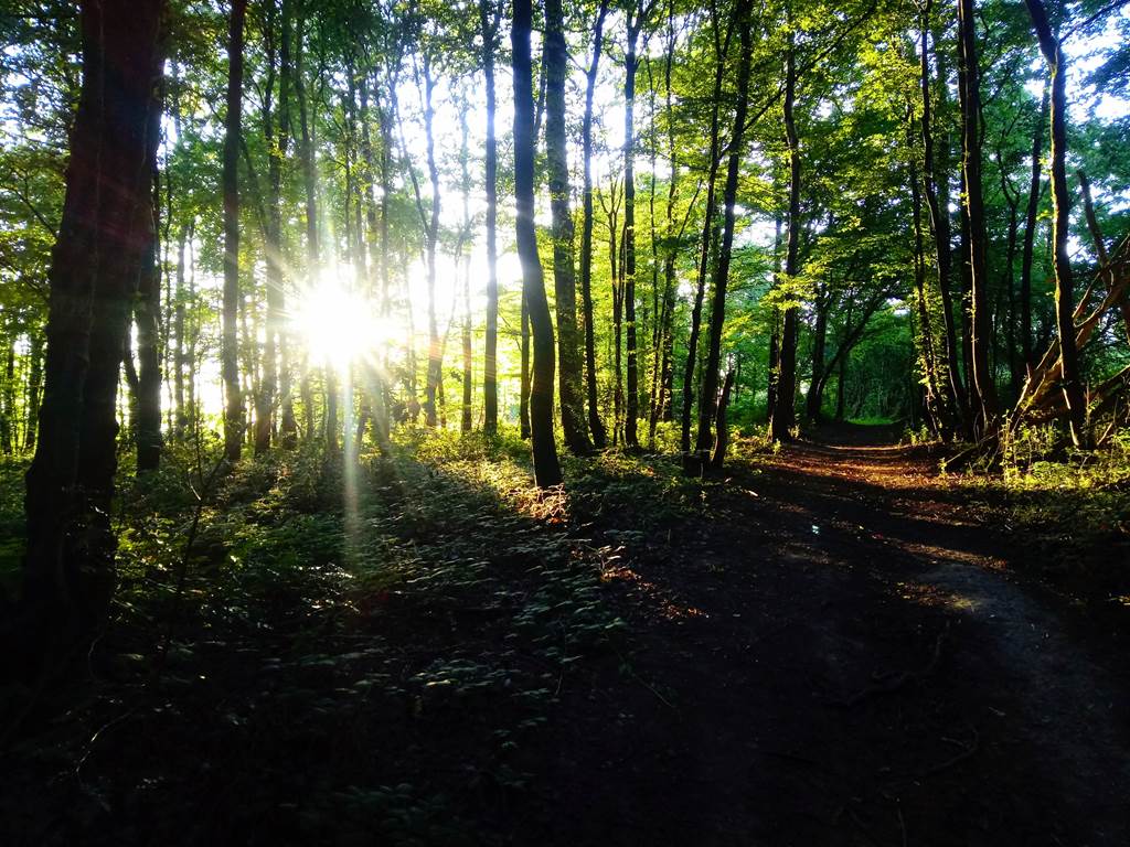 L'Igl'houx, Brognon - photo 6