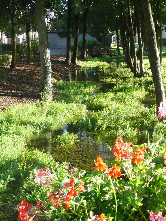 FAGNON, Village Fleuri "1 Fleur", Fagnon - photo 3