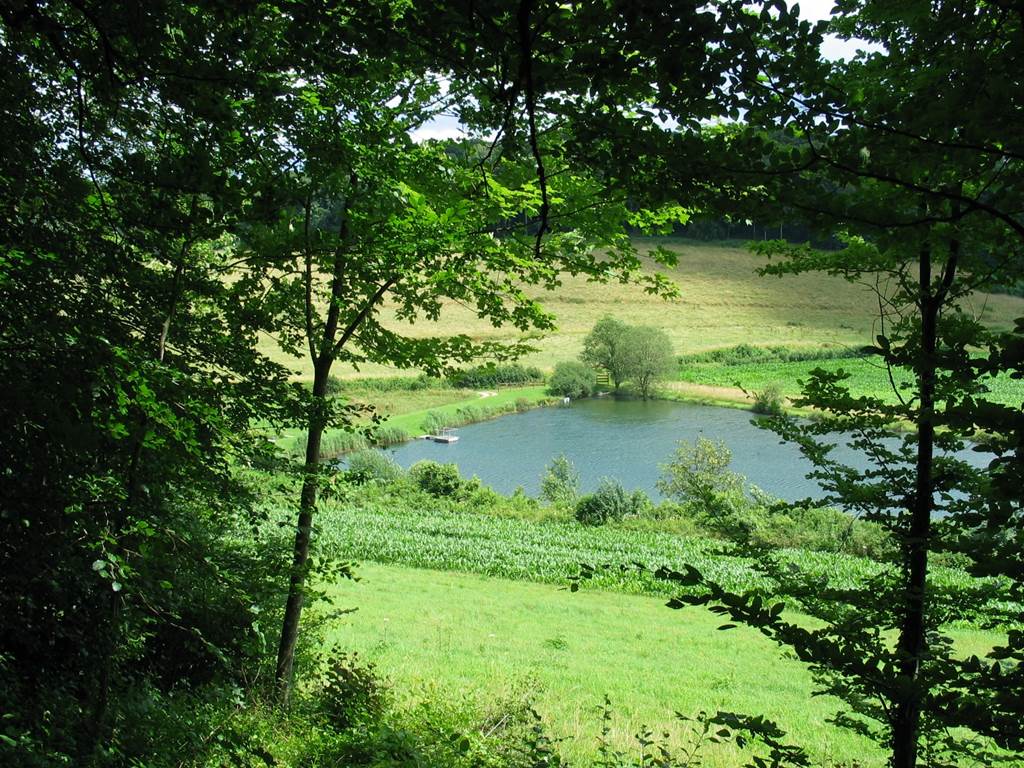 La Mouche Ardennaise, Flize - photo 2