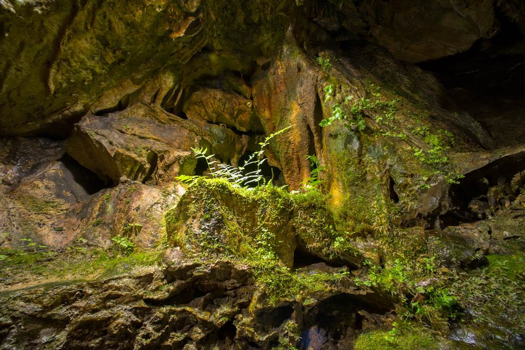 La grotte de Nichet, Fromelennes - photo 4