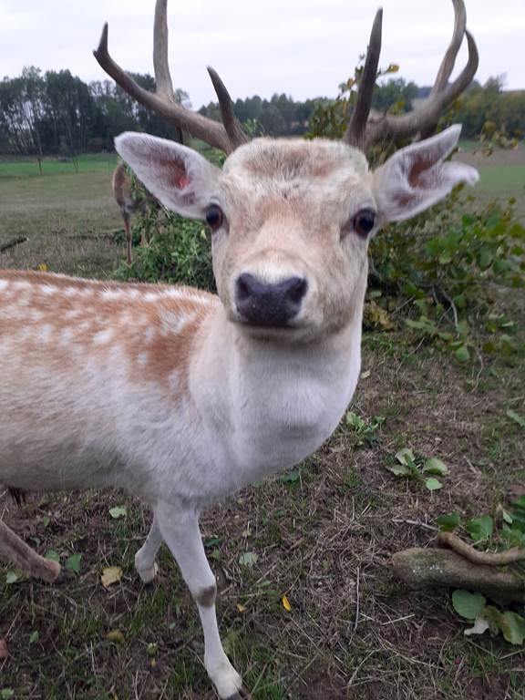 La Ferme de Chennery