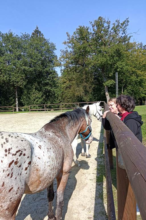 Domaine des Mannesarts, Les Mazures - photo 7