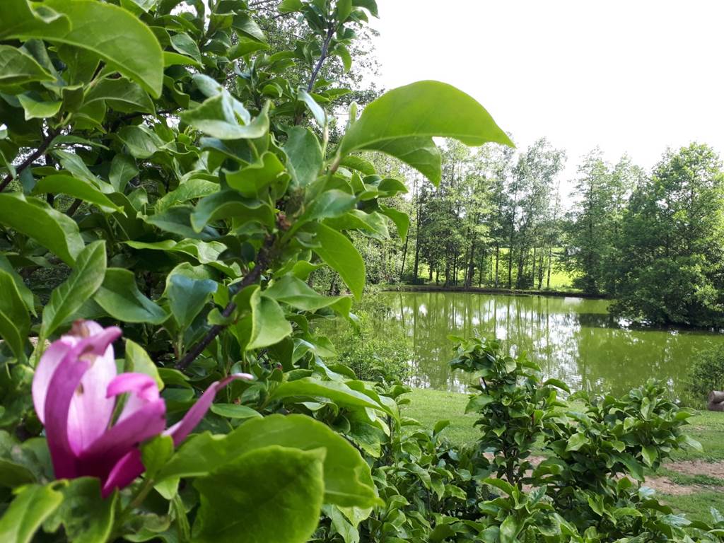 La Rêverie de Brognon