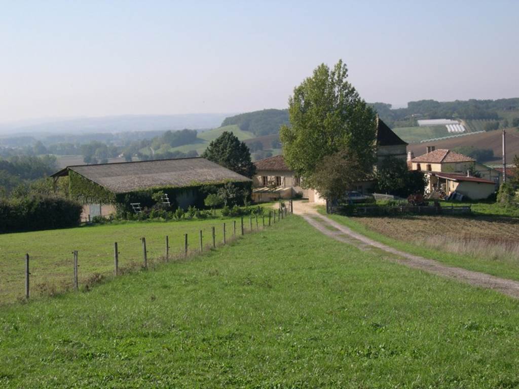 Baboulene