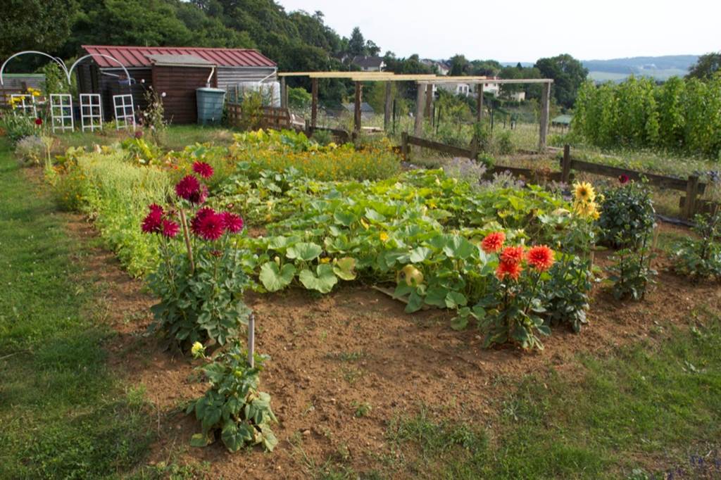 Les Jardins Familiaux de Sedan (depuis 1889), Sedan - photo 2