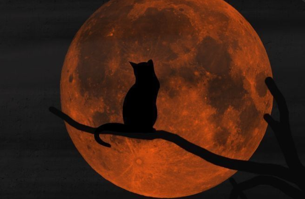 Grand jeu : Le monde de la nuit