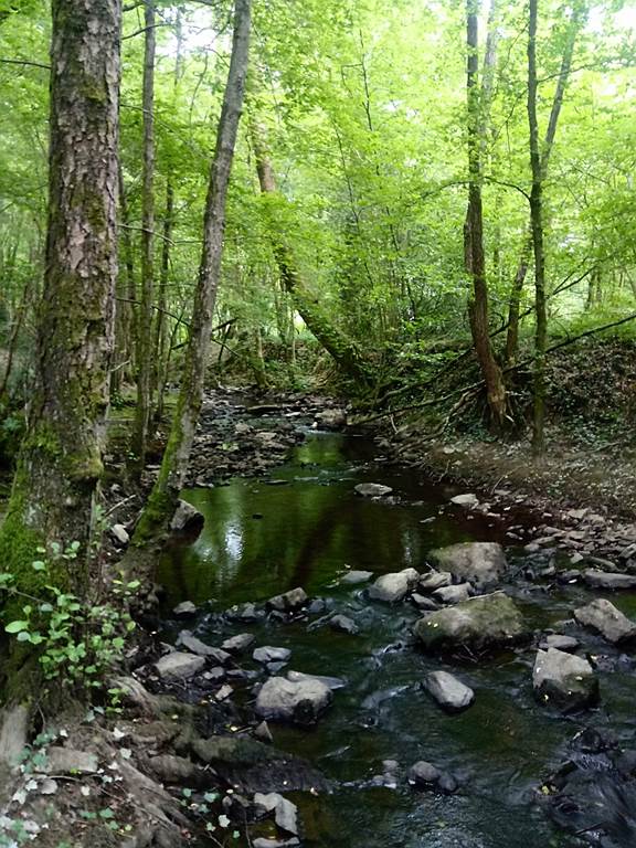 L'Igl'houx, Brognon - photo 15