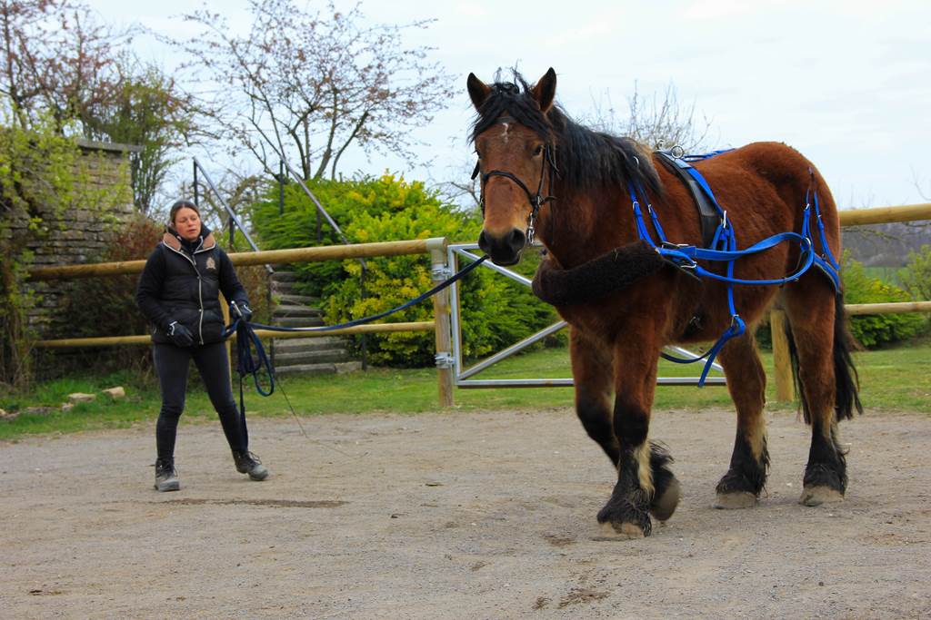 Les Sabots du Relais