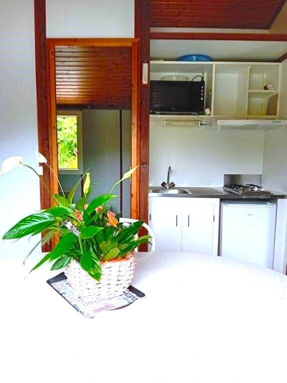 Gîte n°1453 "LES ROUGES GORGES"