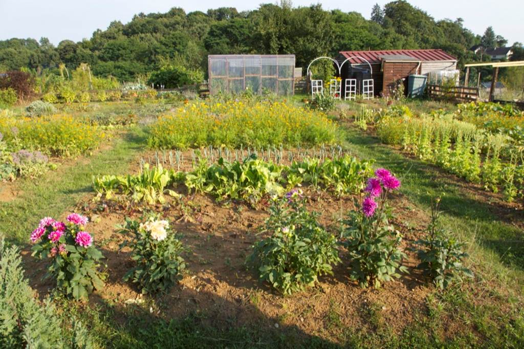 Les Jardins Familiaux de Sedan (depuis 1889), Sedan - photo 3