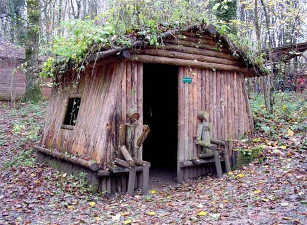Musée de la forêt, Renwez - photo 6