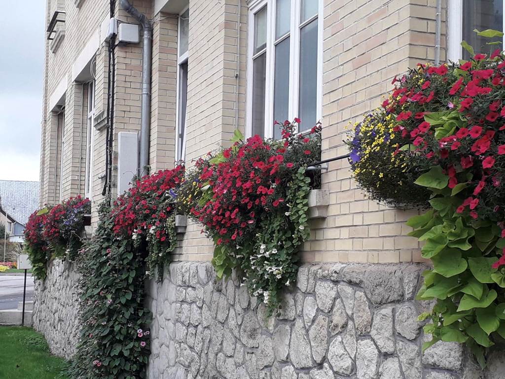 Saint-Loup-en-Champagne - Village Fleuri "1 fleur", Saint-Loup-en-Champagne - photo 7