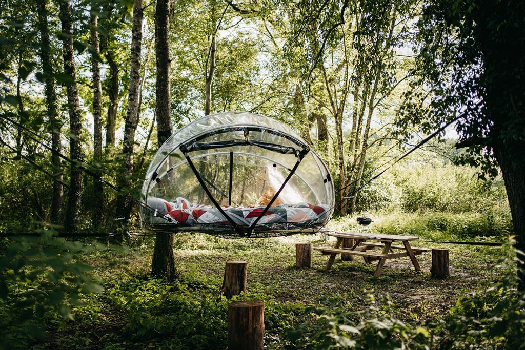 La Bulle suspendue des cinq mésanges