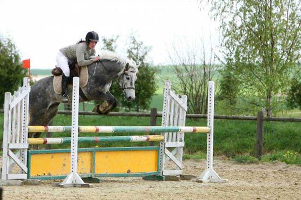 LES ÉCURIES DU TAILLIS