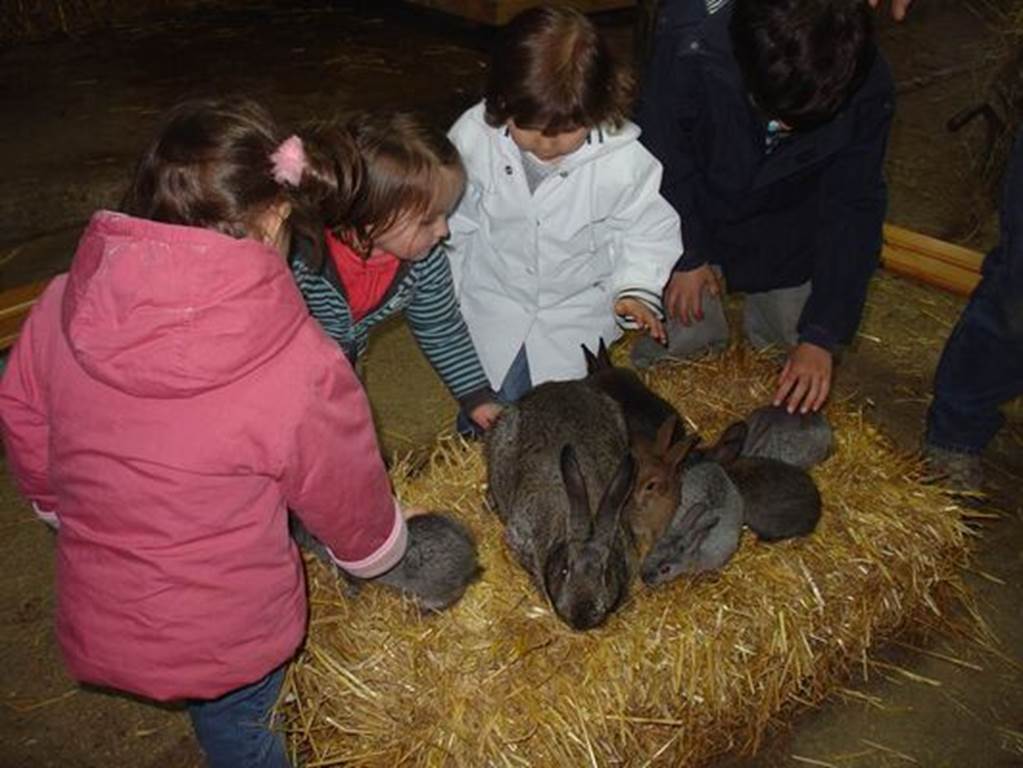 Ferme pédagogique de Liart