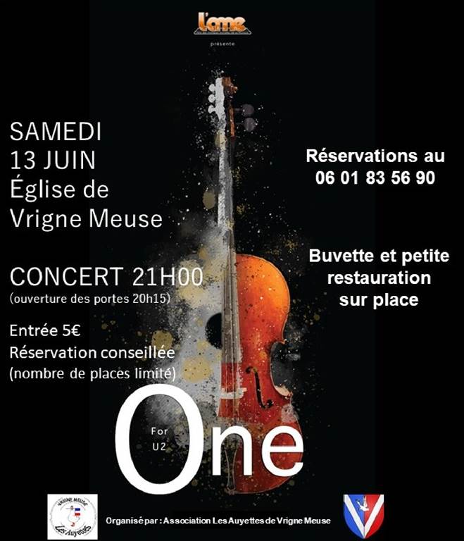 Concert : One for U2 — visuel événement