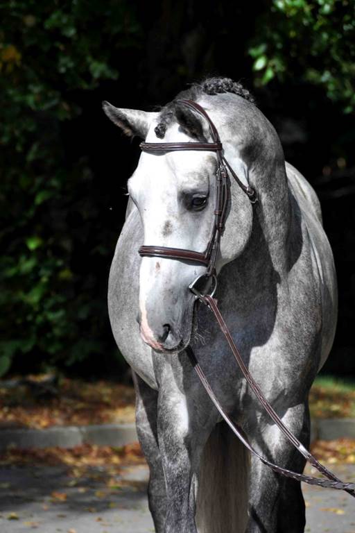 Domaine de Montflix chambre 1, Grandpré - photo 19