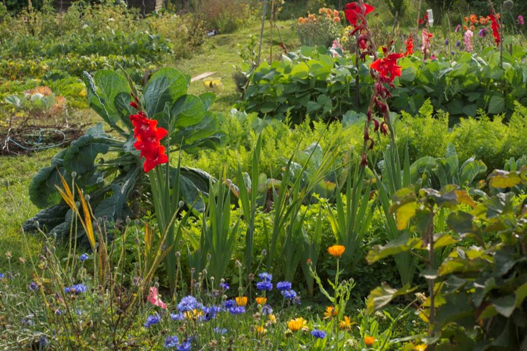 Les Jardins Familiaux de Sedan (depuis 1889), Sedan