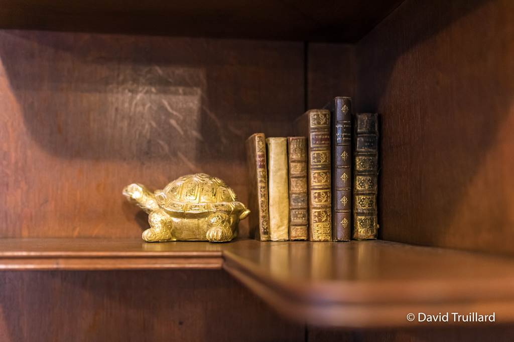 Meublé de tourisme : Studio Art Ducale