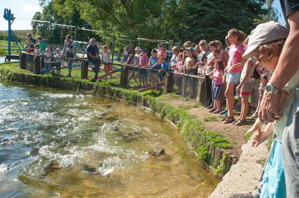 Domaine de Vendresse, Vendresse - photo 4