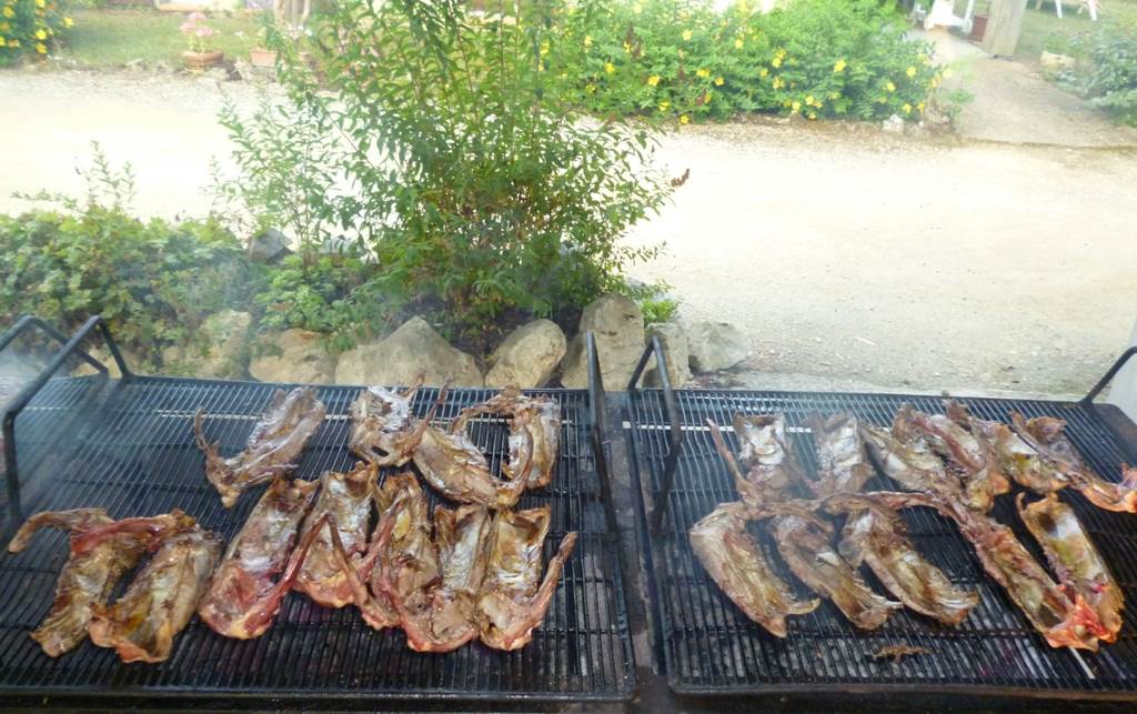 carcasses de canards