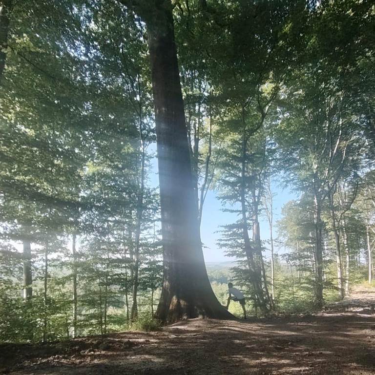 Boucle des Chartreux, Tannay - photo 5