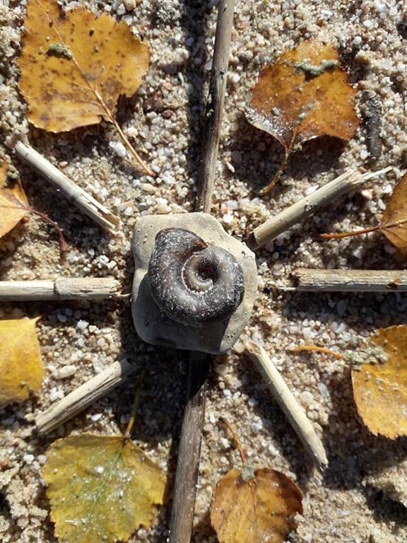 Ecothérapie dans la nature ! Juliette  Cheriki-Nort, Rethel - photo 2