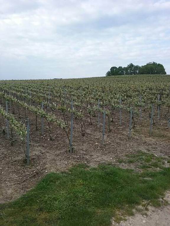 Ardennes Roues Libres