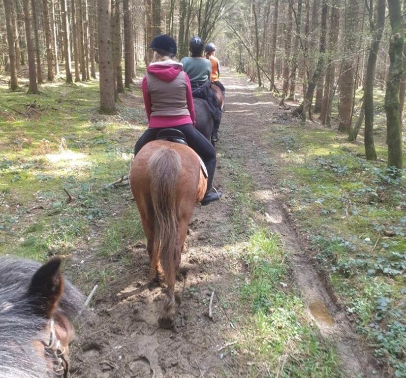 Jeux découvre la ferme en famille - La Croix-Colas