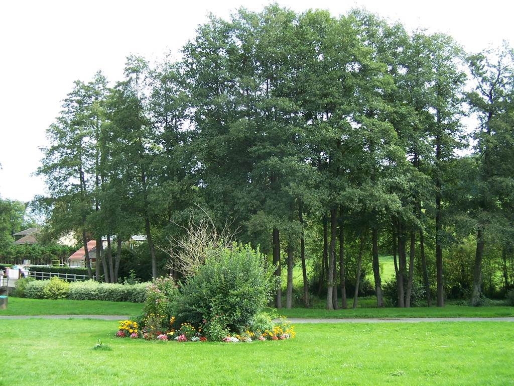 FAGNON, Village Fleuri "1 Fleur", Fagnon - photo 2