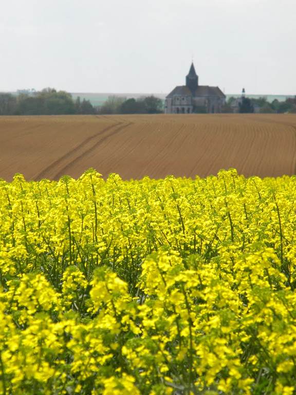 Tagnon - Village Fleuri "1 Fleur"