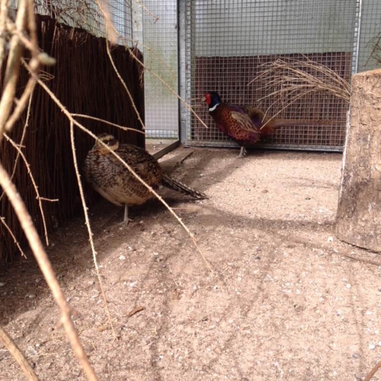 Parc Animalier de Charleville-Mézières