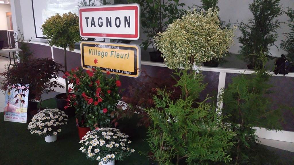 Tagnon - Village Fleuri "1 Fleur", Tagnon - photo 5