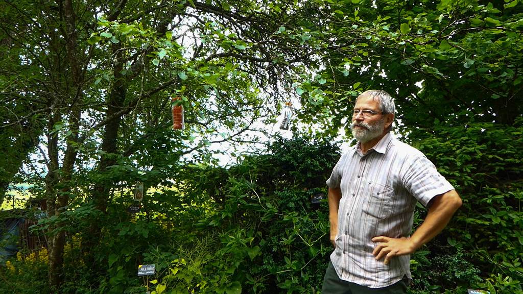 Sentier Botanique, Sury