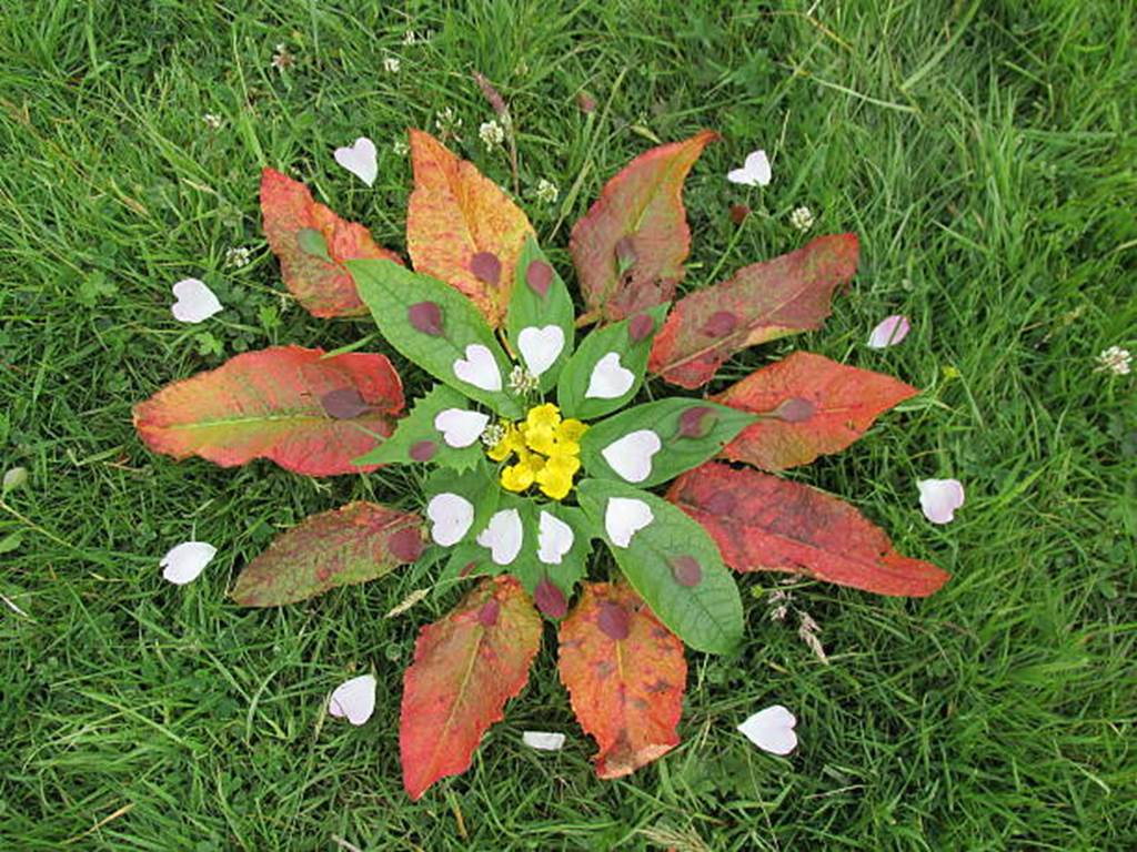 Petits artistes de la nature (Land art)