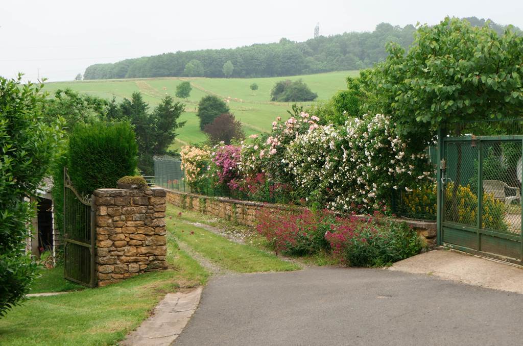 SURY, Village Fleuri "3 Fleurs", Sury - photo 6
