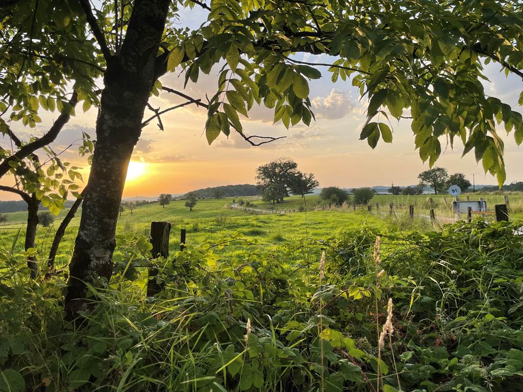 Au rythme d'Arduinna