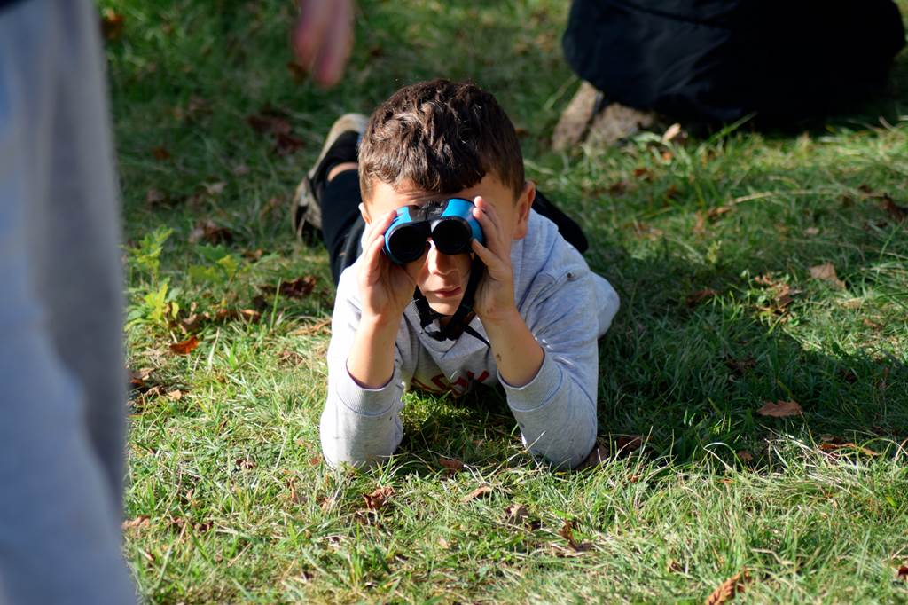 Atelier photo "Billebaude photographique en forêt"