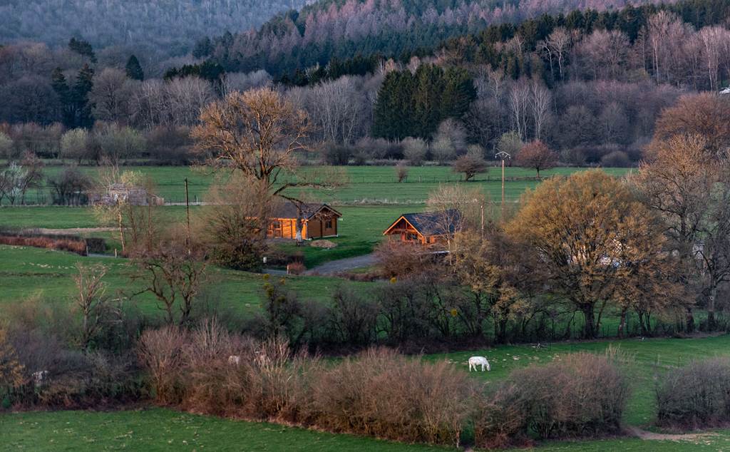 Chalet Le Netta