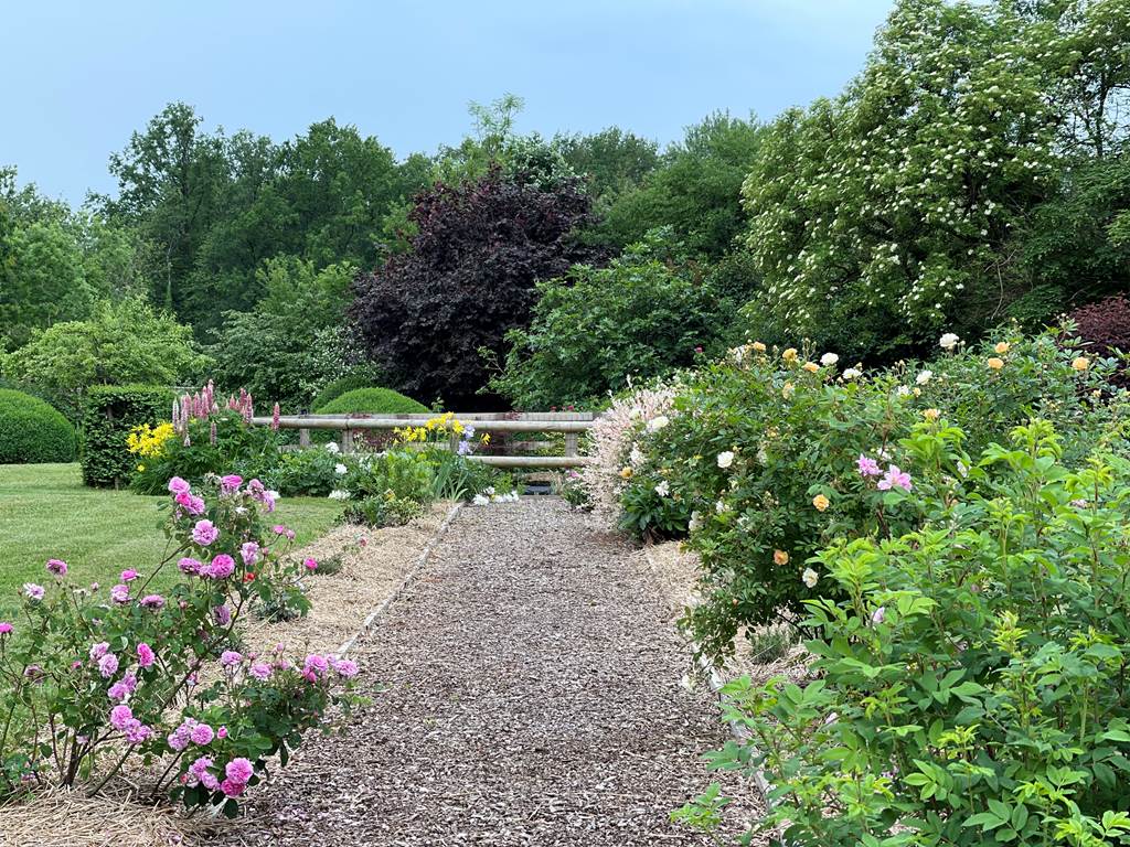 Domaine des Loches, Mazerny - photo 13