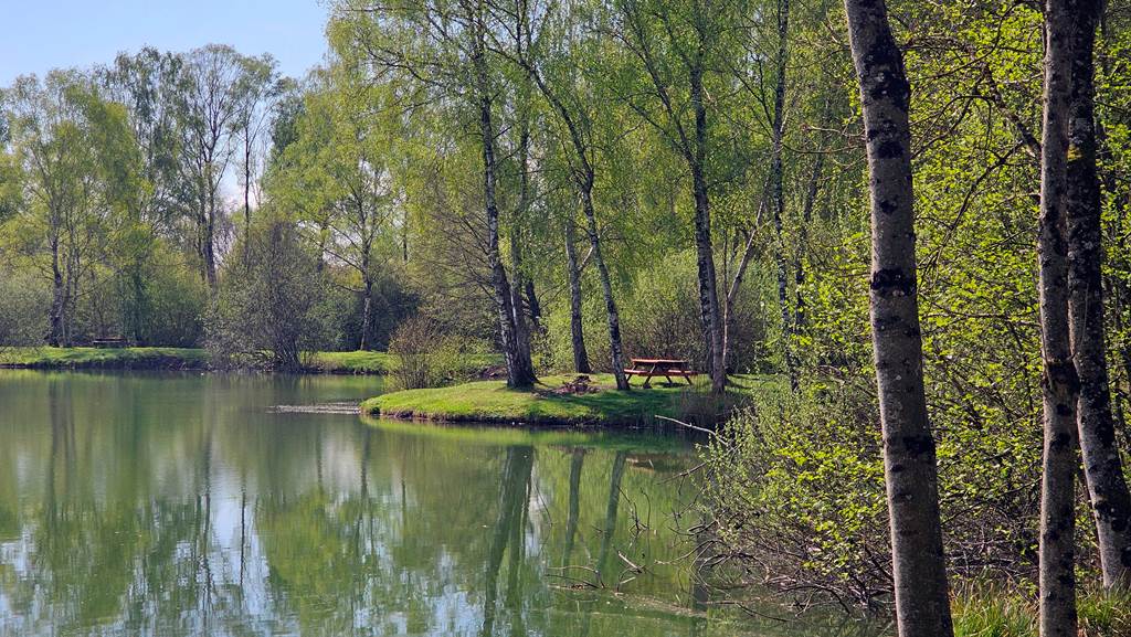 Odyssée VTT autour de Buzancy, Buzancy - photo 6
