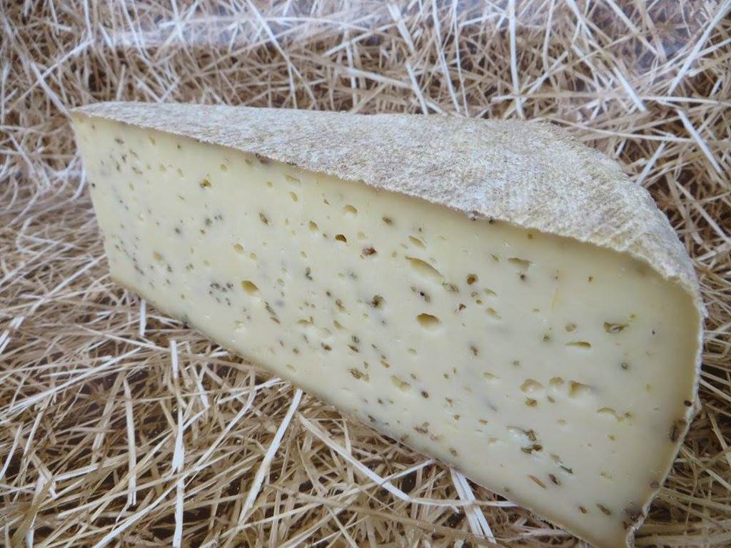 EARL AUX DÉLICES LAITIERS - LARUE Lucie — photo 2