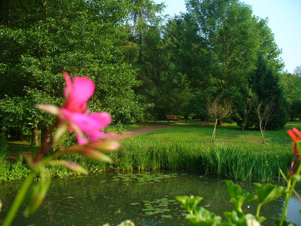 MATTON ET CLEMENCY, Village Fleuri "3 Fleurs", Matton-et-Clémency - photo 4