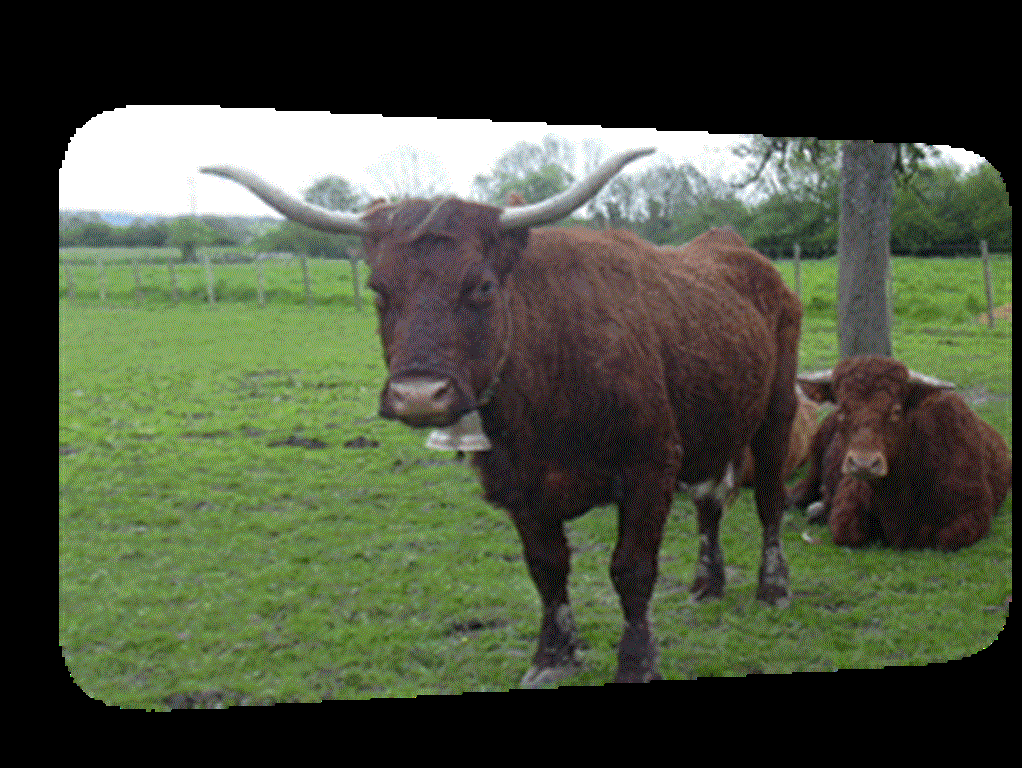 Ferme de la Herse — photo 2