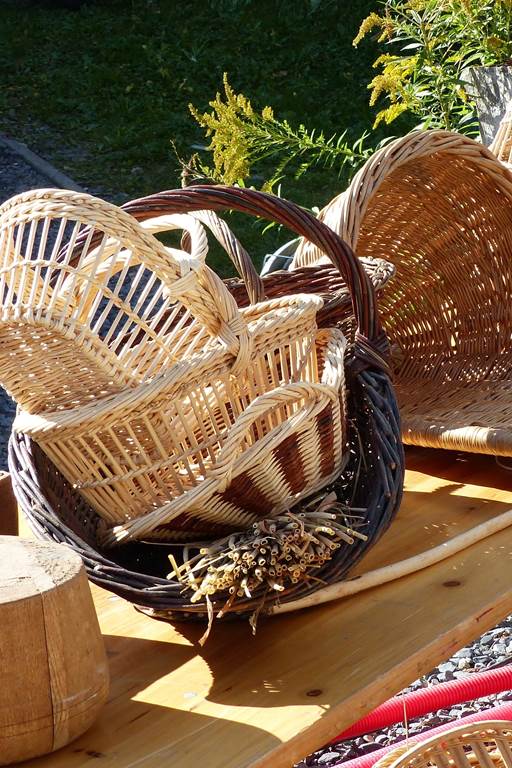 Plantes et savoirs en Ardennes