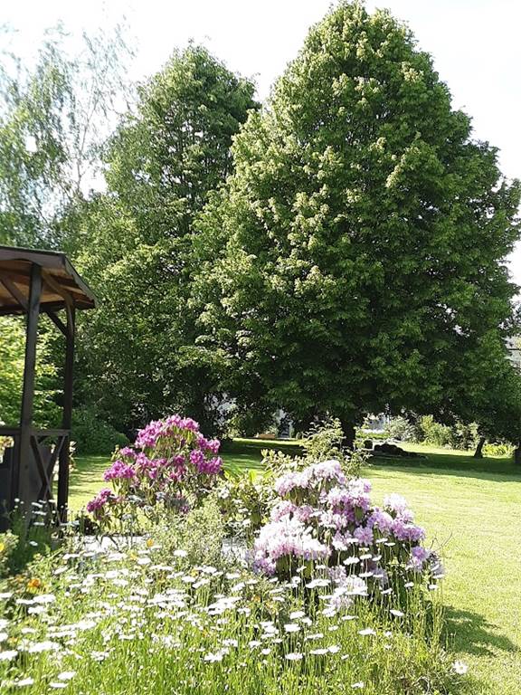 Chambres d'hôtes "Les Tilleuls"