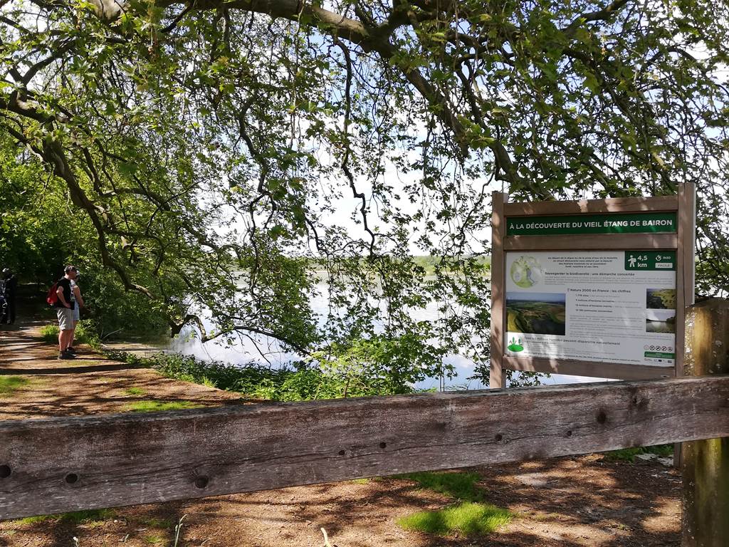 Sentier découverte du Vieil-Étang de Bairon, Bairon et ses environs - photo 5